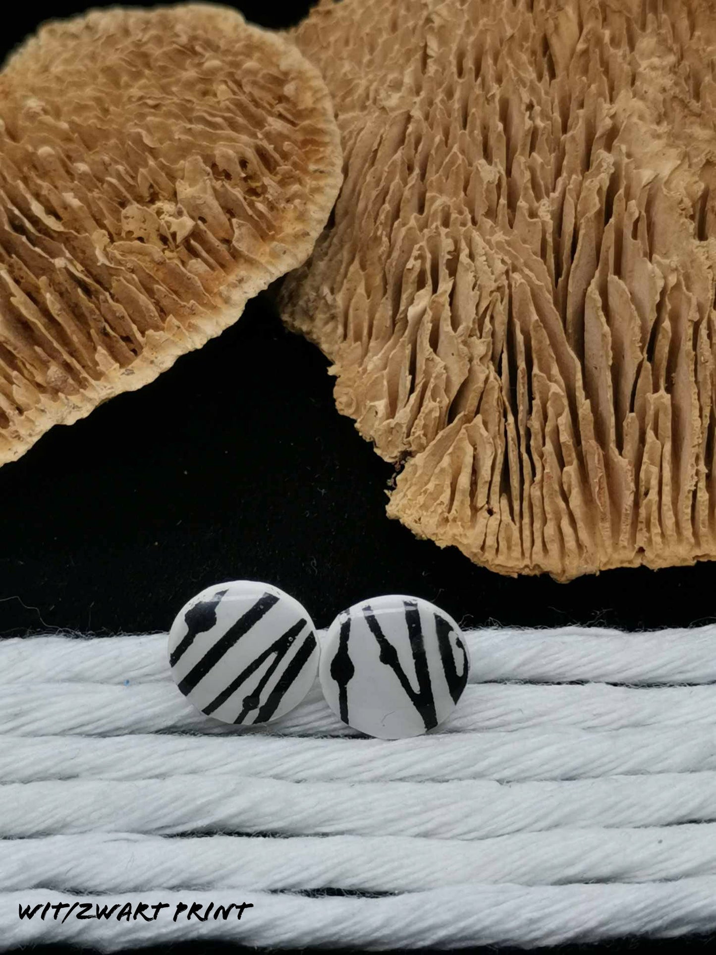 Freya studs